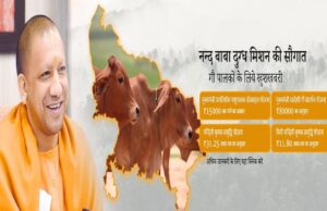 विशेष आर्टिकल- नंद बाबा दुग्ध मिशन: उत्तर प्रदेश में डेयरी क्रांति का नया अध्याय – किसानों की आय दोगुनी से आत्मनिर्भर ग्रामीण अर्थव्यवस्था तक