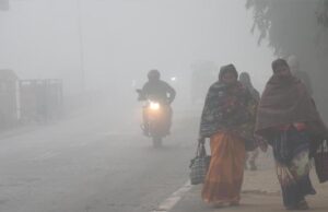 MP में शीतलहर की दस्तक: 23 जिलों में अलर्ट, 9 शहरों में पारा 10° से नीचे, राजगढ़ सबसे ठंडा