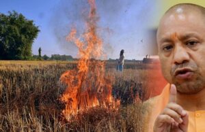 मुख्यमंत्री योगी के सख्त निर्देशों का असर, उत्तर प्रदेश में पराली जलाने की घटनाओं में आई उल्लेखनीय कमी