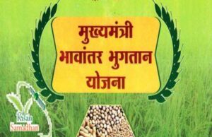 भावांतर योजना में सोयाबीन का मॉडल रेट बढ़कर हुआ 4267 रुपए
