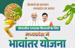 भावांतर योजना में सोयाबीन का मॉडल रेट आज भी 4282 रुपए