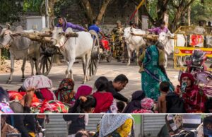 हाकिमपुर बॉर्डर पर हड़कंप: अवैध बांग्लादेशियों का चौंकाने वाला कबूलनामा—‘बंगाल में चार बार दिया वोट’