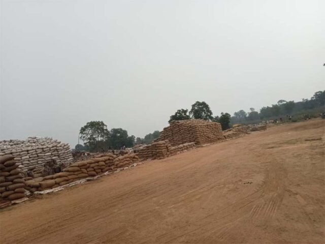 Dhan.jpg