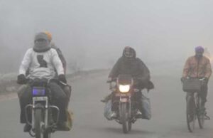 मध्यप्रदेश में सर्दी का कहर: राजगढ़ 7.4°C, इंदौर 7.6°C; 13 जिलों में शीतलहर, अनूपपुर-बालाघाट में कोल्ड डे