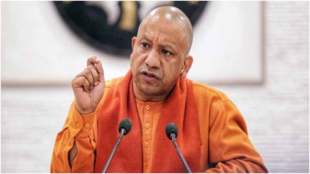 yogi2-17.jpg