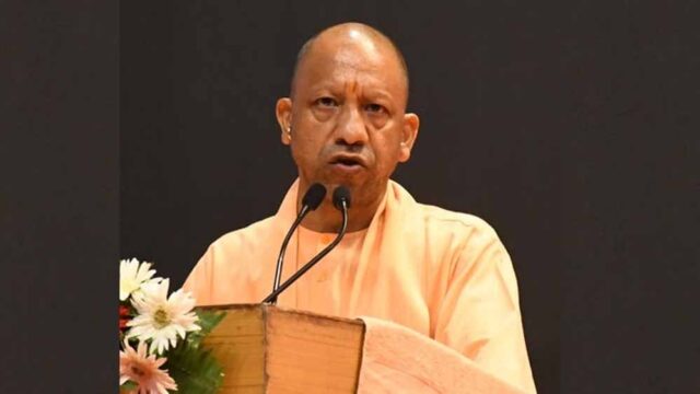 yogi4.jpg