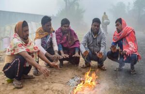 मध्यप्रदेश में कड़ाके की सर्दी का अलर्ट: भोपाल-इंदौर समेत 10 शहरों में पारा 2-3 डिग्री तक गिरेगा