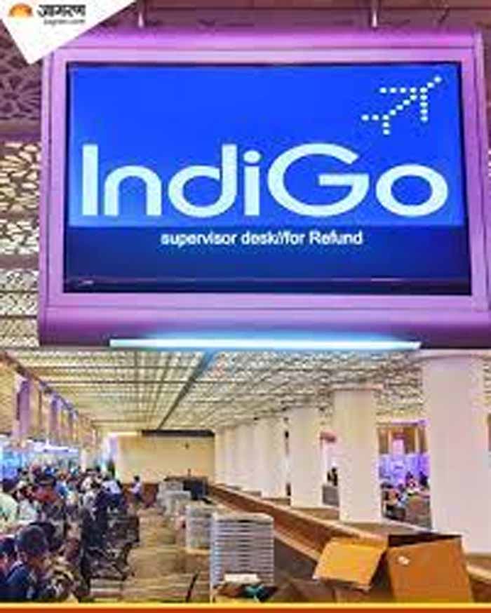 indigo3-1.jpg