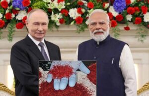 पीएम मोदी का पुतिन को तोहफा बना खास संदेश, कश्मीरी केसर से चमकी जम्मू-कश्मीर के किसानों की उम्मीद