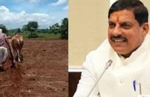 एक बीघा से एक लाख रूपए की कमाई करने वाले किसानों को किया जाए सम्मानित: मुख्यमंत्री डॉ. यादव