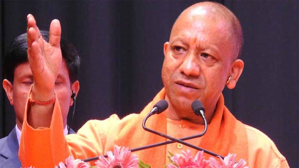 yogi8-5.jpg