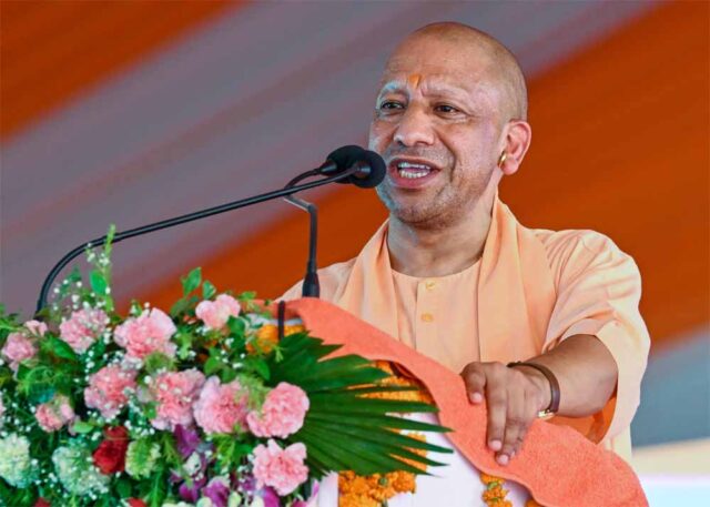CM_yogi_01-1.jpg