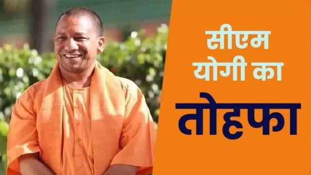 yogi2-7.jpg
