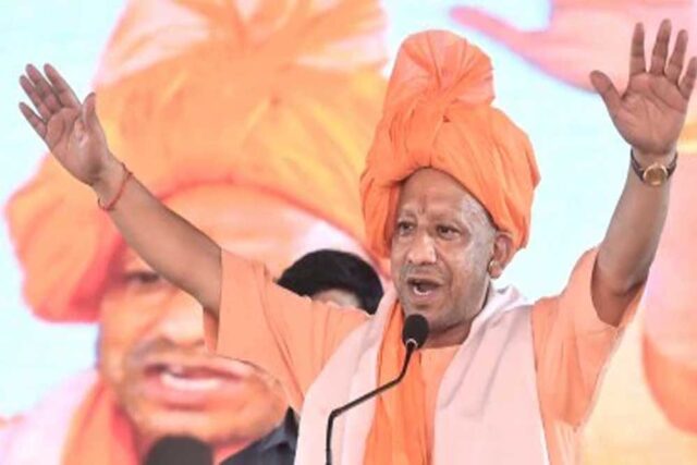yogi_y_69_3.jpg