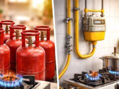 सिलेंडर संकट पर सरकार का बड़ा ऑफर, पीएनजी पर शिफ्ट होने पर मिलेगा 500 रुपये की फ्री गैस
