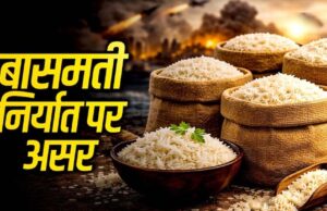 MP से बासमती का निर्यात ठप, समुद्र में फंसा चावल, किसानों और व्यापारियों की बढ़ी चिंता