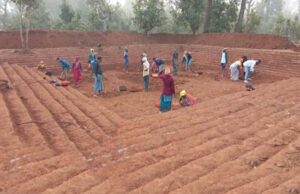 उत्तर बस्तर कांकेर: आजीविका और जल संरक्षण में उत्कृष्ट कार्य करने वाली महिलाओं ने साझा किए अनुभव
