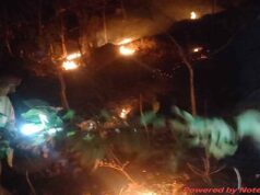 वन विभाग की तत्परता से टली बड़ी वन क्षति