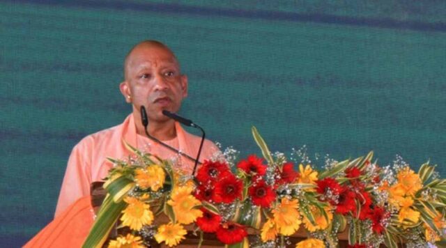 Yogi_03-13.jpg