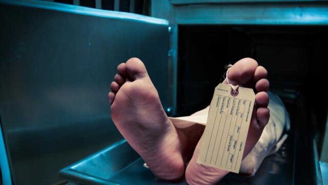 dead_2_2-1.jpg