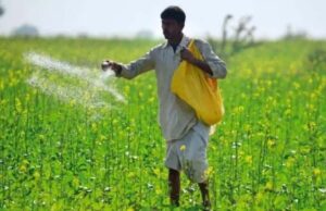 युद्ध का सीधा असर खेती पर: कीटनाशक 30% महंगे, किसानों की लागत बढ़ने की आशंका