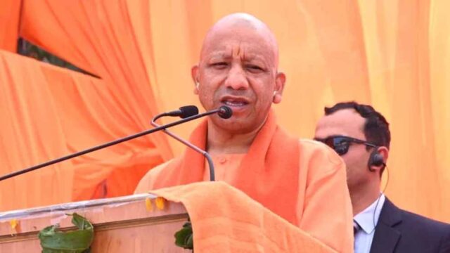 yogi-16.jpg