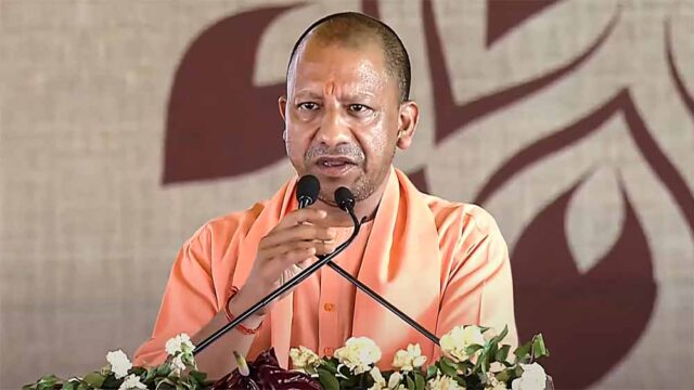 yogi1-15.jpg