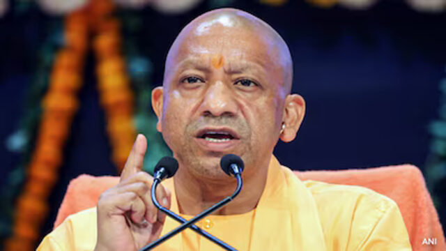 yogi2-12.jpg