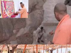 जालोर में योगी आदित्यनाथ का आध्यात्मिक शंखनाद: जौहर को बताया आत्मसम्मान का प्रतीक