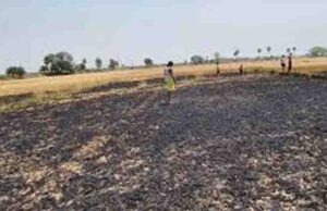 चंदौली में गेहूं की फसल पर आग का तांडव, 10 बीघा से अधिक खेत जलकर राख