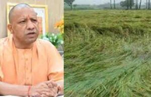 किसानों की फसल नुकसान पर मुख्यमंत्री गंभीर, तत्काल राहत वितरण के निर्देश