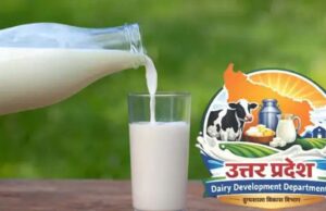 दुग्ध स्वर्ण महोत्सव-2026: योगी सरकार के विजन से डेयरी सेक्टर को नई रफ्तार