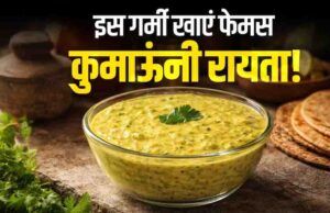 उत्तराखंड के कुमाऊंनी रायते का लीजिए चटपटा स्वाद, पहाड़ी खीरे और राई के तड़के के बिना ही लाजवाब बनता है यह व्यंजन
