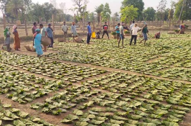 Chhattisgarh_News_02-3-21.jpg