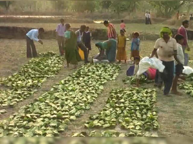 Chhattisgarh_News_05-3-25.jpg