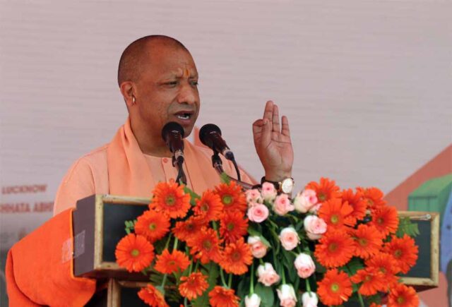 Cm_Yogi_03.jpg