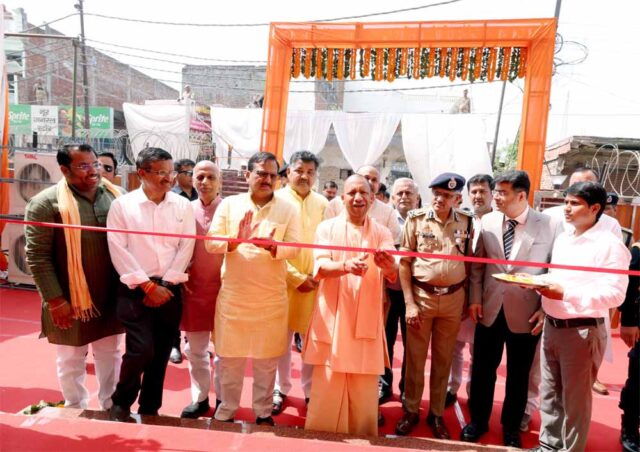 cm_yogi_in_house.jpg