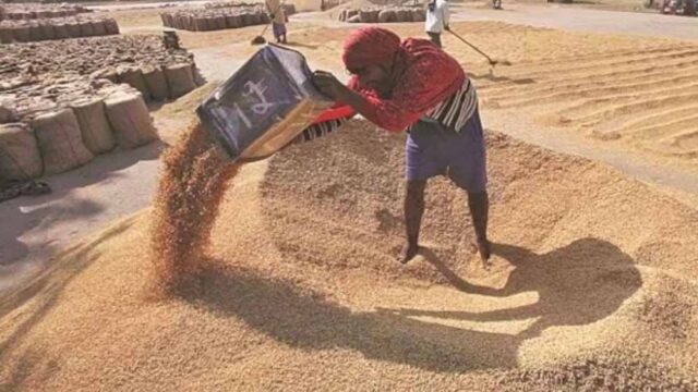 wheat_A_45_1-2.jpg