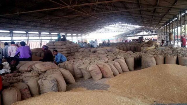 wheat_A_45_5-1.jpg