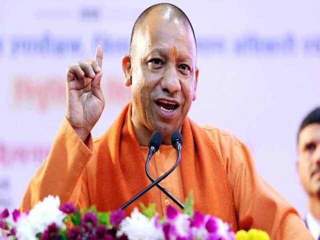 yogi1-1.jpg