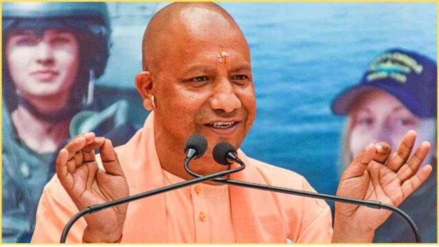 yogi111-5.jpg
