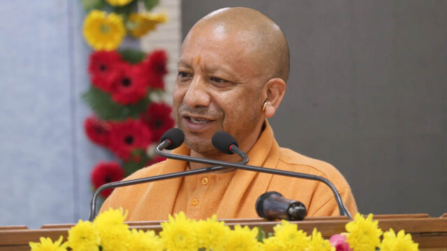 yogi_133_2.jpg
