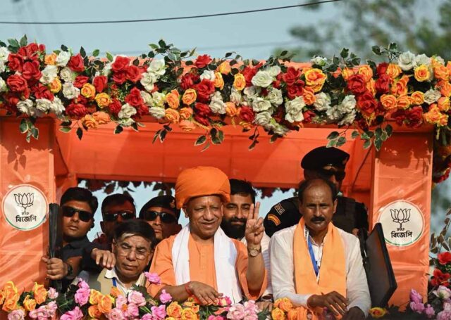 yogi_bengal.jpg