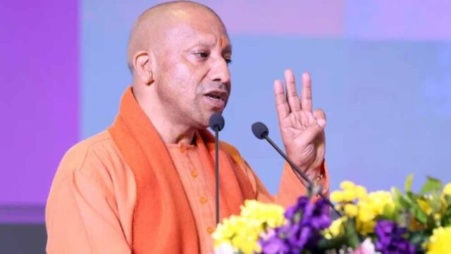 yogi_new.jpg