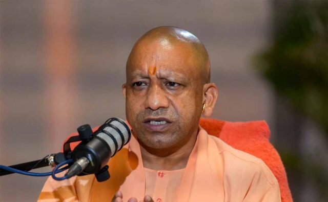 yogi_news1-1.jpg