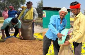 धमतरी का गौरव: विश्व की सबसे बड़ी अनाज भंडारण योजना में बनाया कीर्तिमान, प्रदेश के कुल चने का 50% अकेले खरीदा