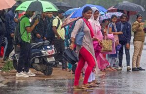 प्रदेश में दो सिस्टम एक्टिव, 13 जिलों में आंधी-बारिश का अलर्ट; जबलपुर और रीवा संभाग प्रभावित