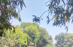 मुख्यमंत्री स्वस्थ बस्तर अभियान