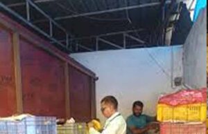 फल मंडी में बड़ा खुलासा! केमिकल से पकाए जा रहे थे केले, खाद्य विभाग ने मारा छापा