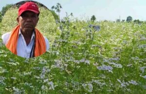 महासमुंद के किसान रतिराम की बदली किस्मत, धनिया की खेती से बढ़ी आमदनी